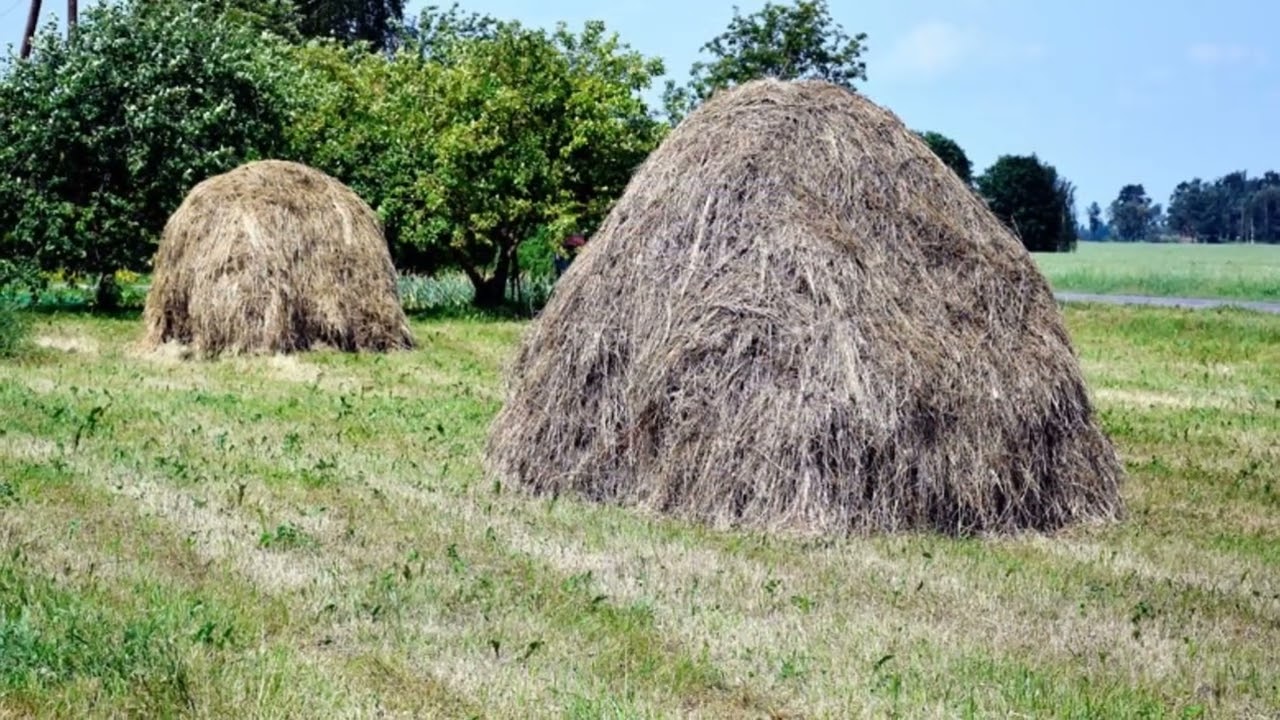 Bērnības pļavā