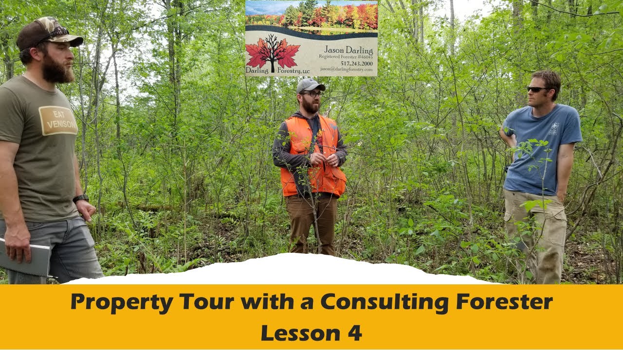 Property Tour with a Consulting Forester Lesson 4