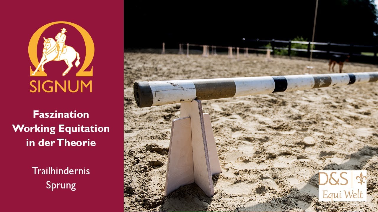 Faszination Working Equitation - Das Trailhindernis Sprung in der Theorie mit Gernot Weber