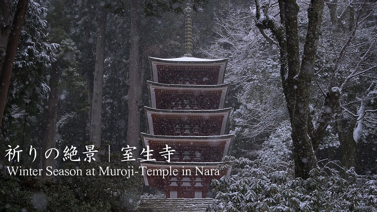 雪の室生寺｜冬の絶景【奈良】：宇陀市：Winter Season at Muroji-Temple in Nara, Japan｜Uda City