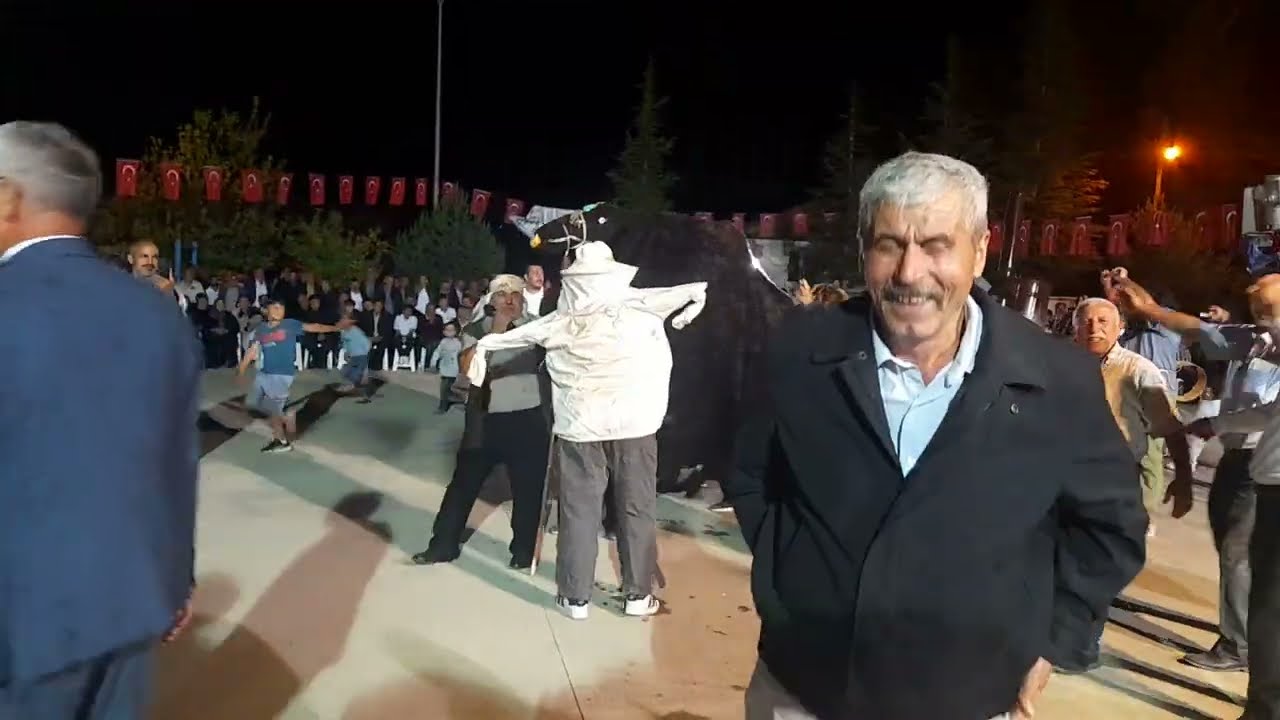 RESADİYE  DUTDIBI TOZANLI SENLIGI