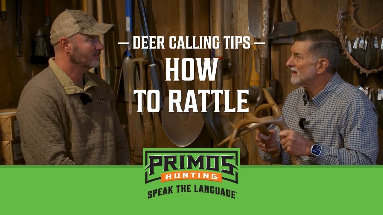 Deer Calling Tips - When And How To Rattle