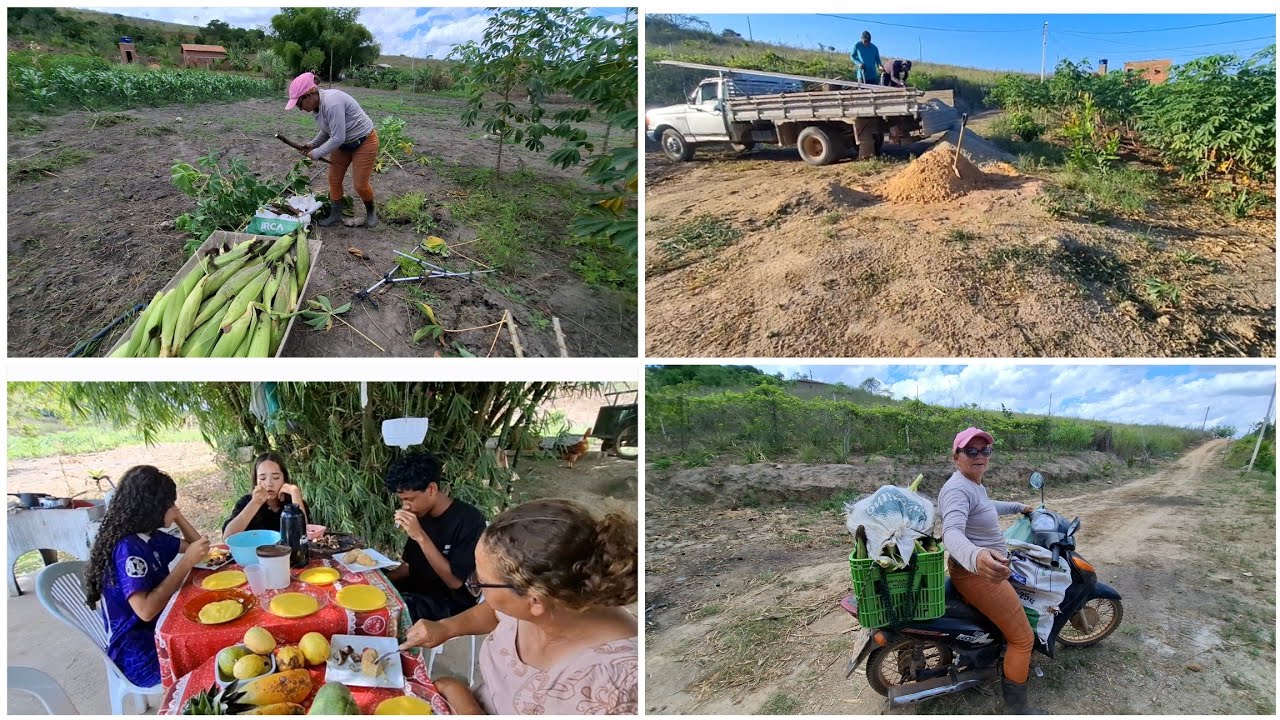 Dia de colheita com reforma da casa de João - cantinho da ceia 