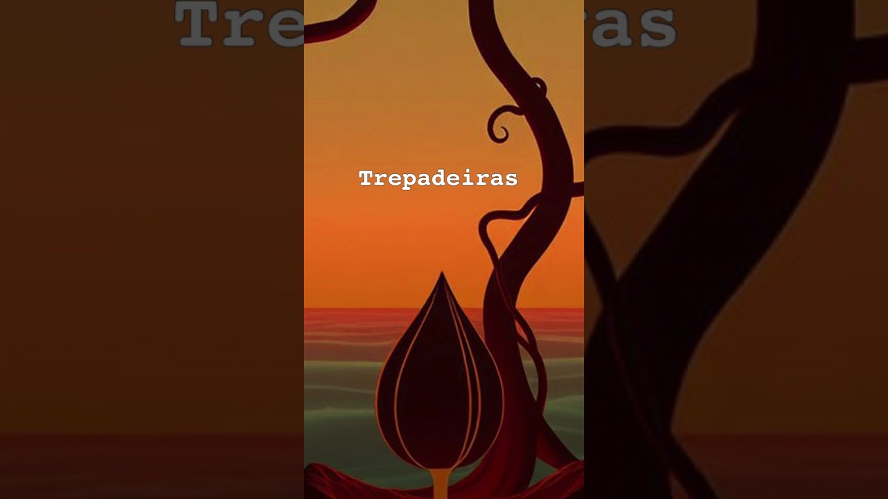 Trepadeiras