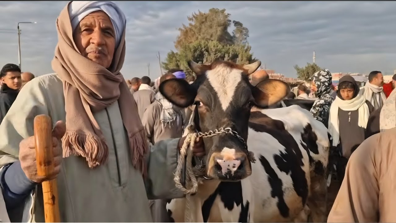بيضحكوا عليه علشان مبيعرفش يكدب زيهم علشان احسن منهم والله انت راجل ب ١٠٠ راجل حبيبي ياحاج