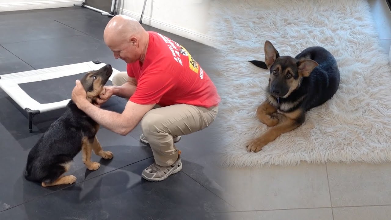 Sending Cooper Away!