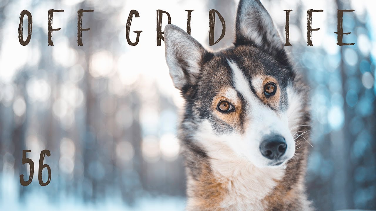 Life off the grid in the wilderness