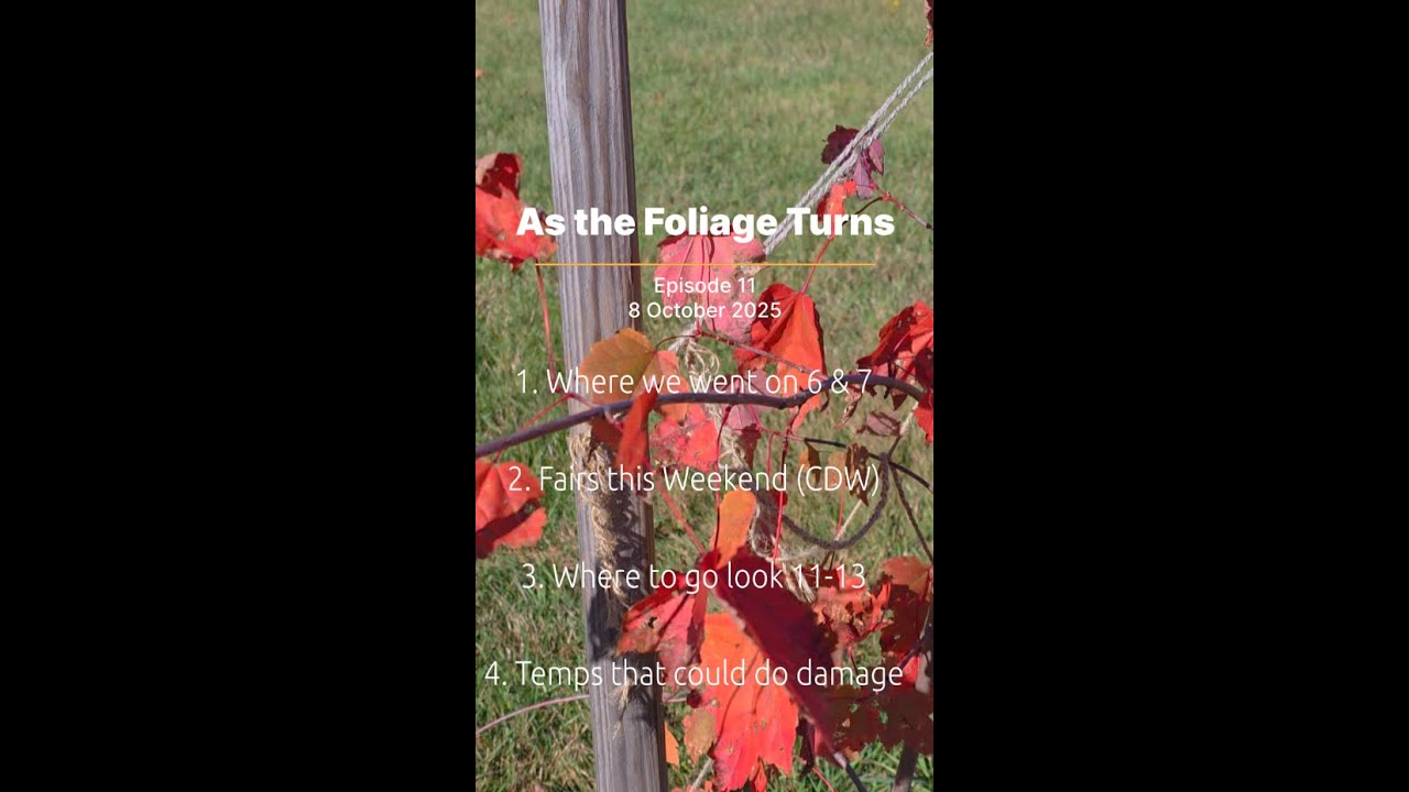 8 October 2025 - As The Foliage Turns, Episode 11