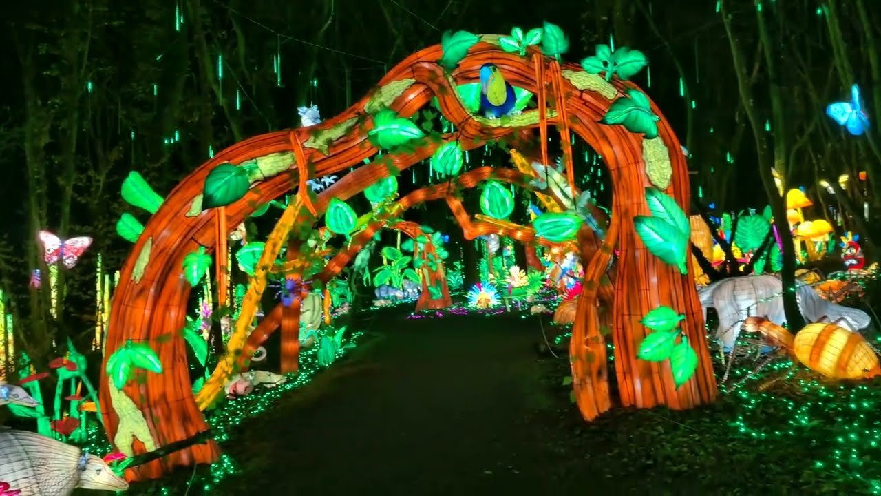 2026-01-21 - Amnéville - Luminescence - La forêt amazoniène