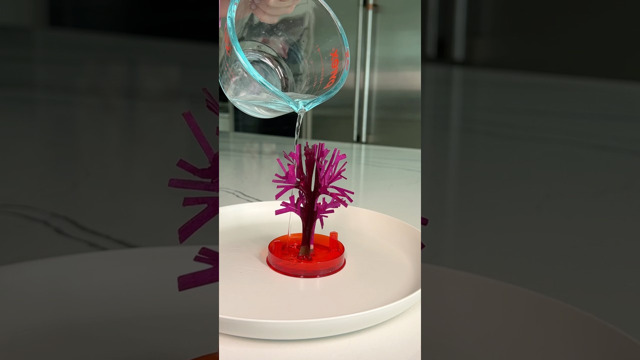 Growing a magic cherry blossom tree! Full transformation!!