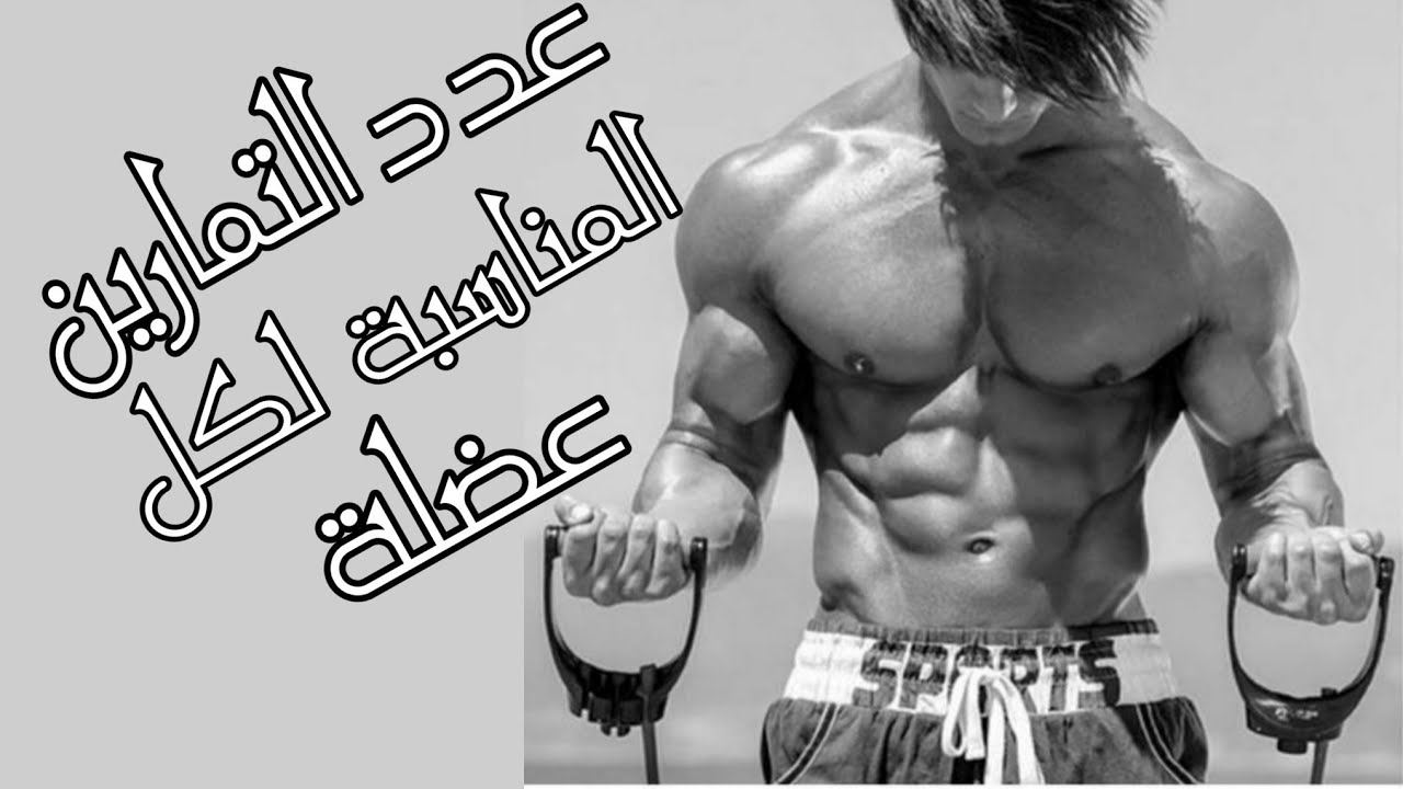 عدد التمارين المناسبة لكل عضلة