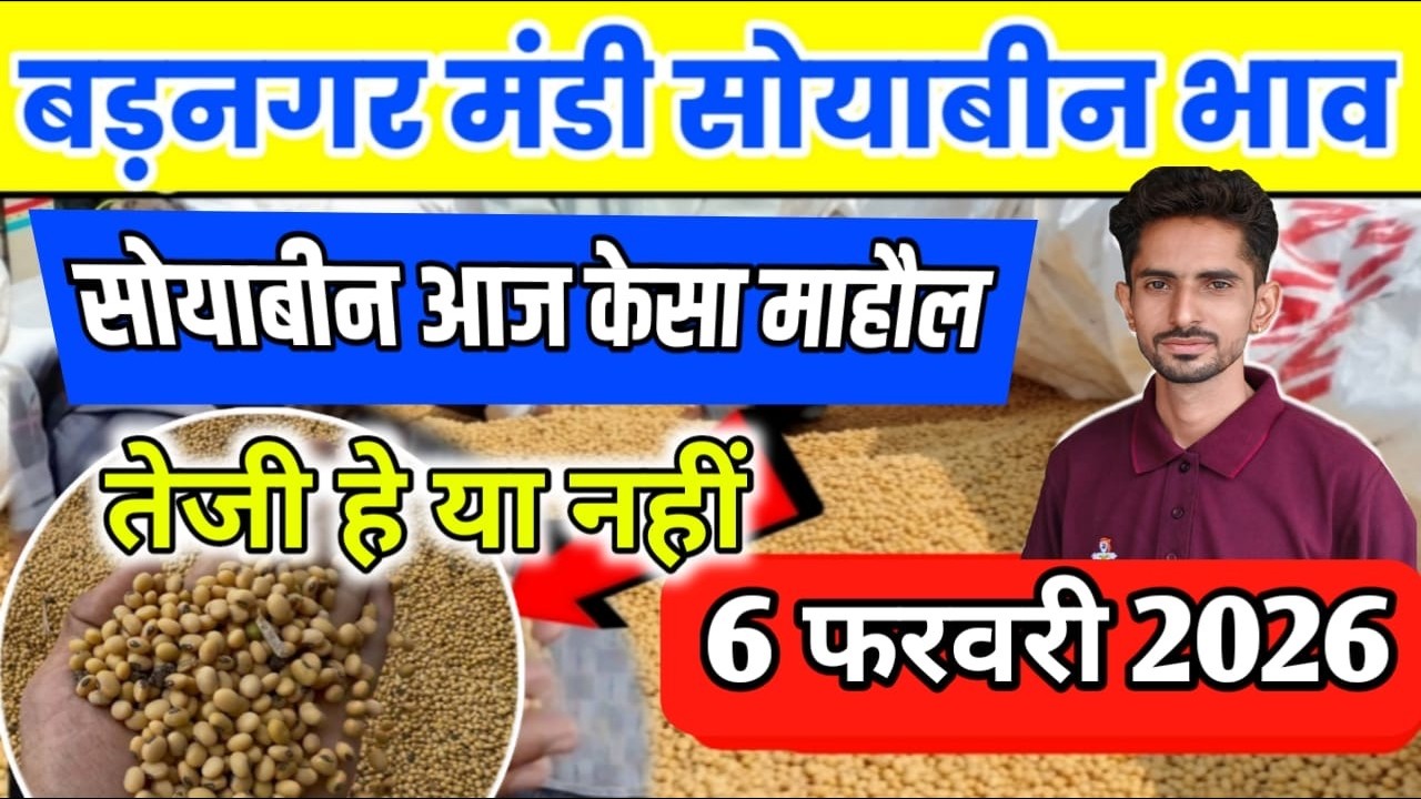 6 फरवरी 2026 बड़नगर मंडी सोयाबीन भाव /today soabean ret | ujjain soyabean bhav