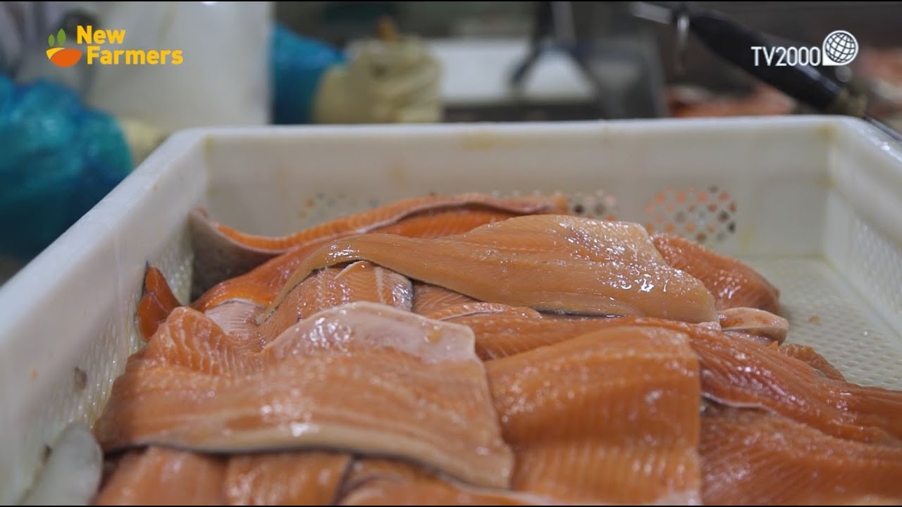 New Farmers - La fattoria del pesce nel Parco del Ticino