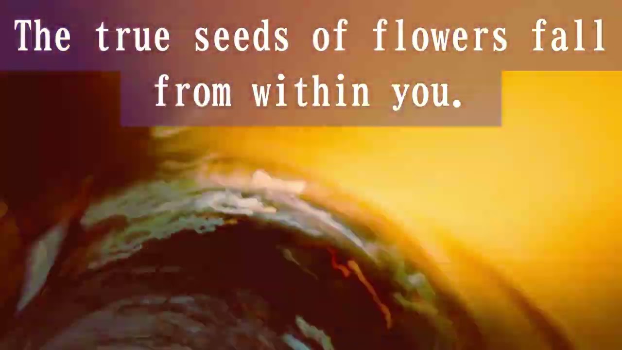 Where the Bouquet Meets the Sky/Fumiyuki