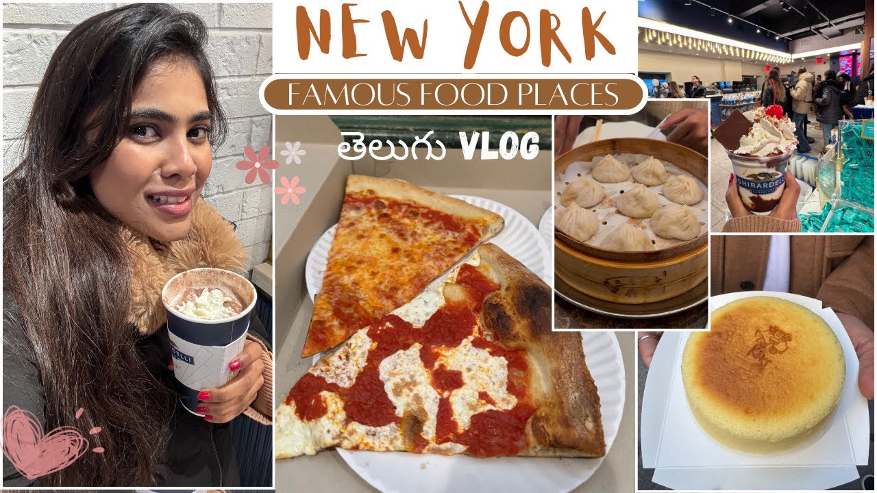 తెలుగు vlog New York famous food places | USA vlog  @andhra2america