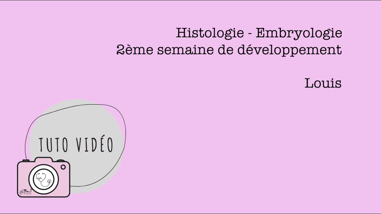 Histologie   Embryologie – 2ème semaine de développement