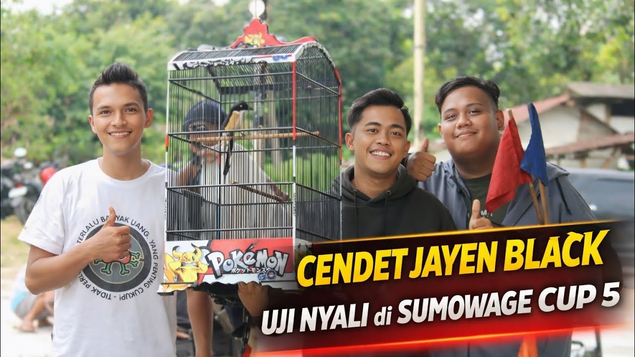 CENDET JAYEN BLACK - UJI NYALI di SUMOWAGE CUP 5