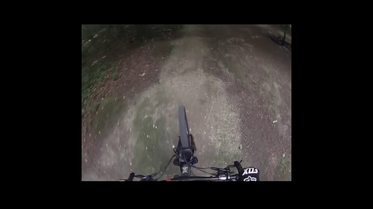 KramMTB, Friston forest, East Sussex