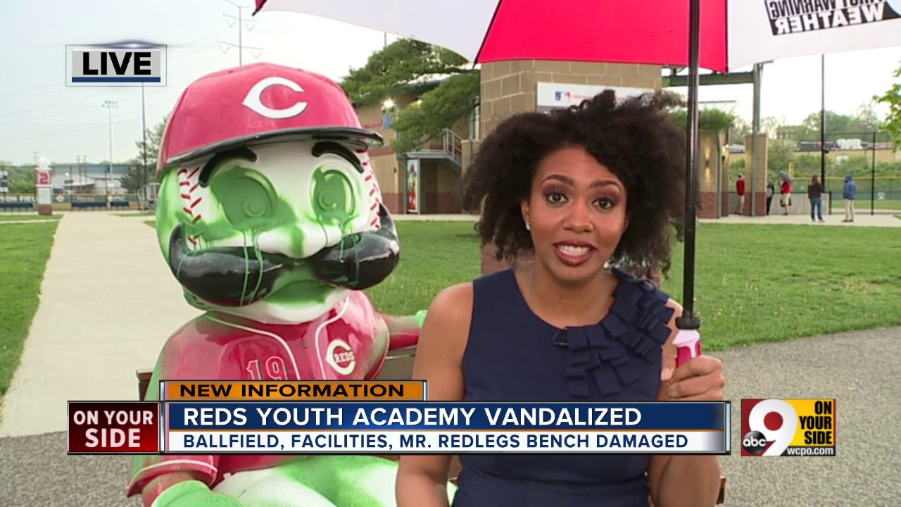 Vandals spraypaint Mr. Redlegs, damage facilities at Reds Youth Academy