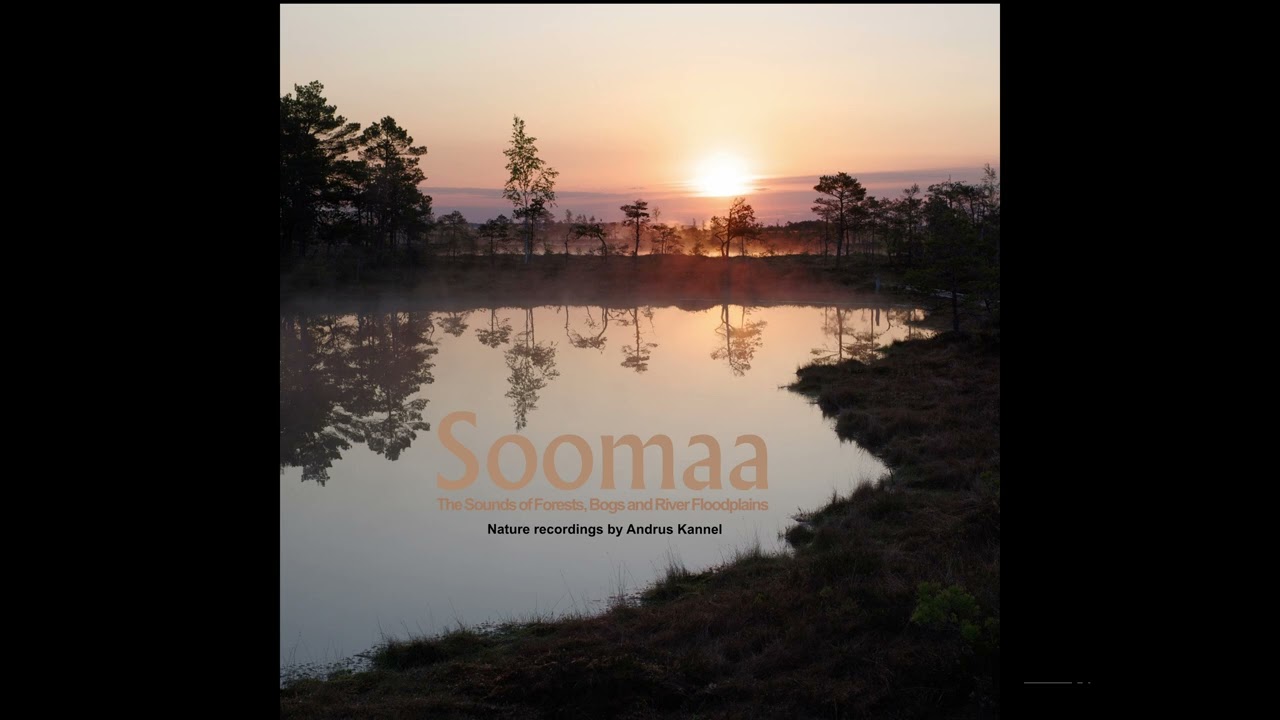 Soomaa - The Sounds of Forests, Bogs and River Floodplains album preview