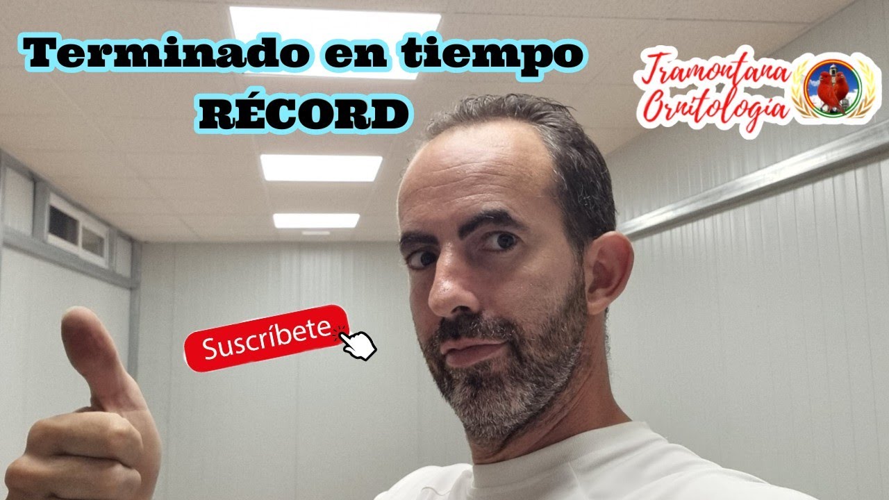 Terminado en tiempo RÉCORD 🐥