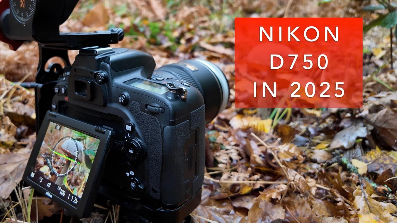 Возвращаемся к Nikon D750 в конце 2025 года | Как все прошло?