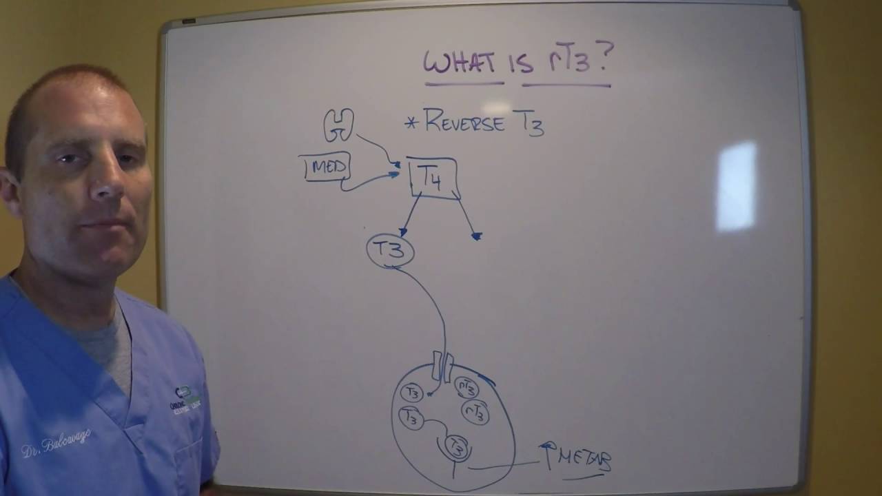 TTE25 Reverse T3 Part 1 What is rT3?