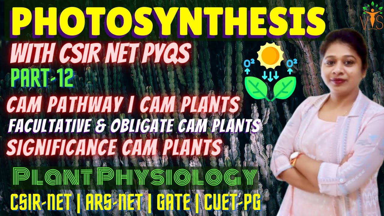 Photosynthesis 12 | CAM Pathway | CAM Plants | CAM Cycle CSIR NET | CAM Plants Photosynthesis