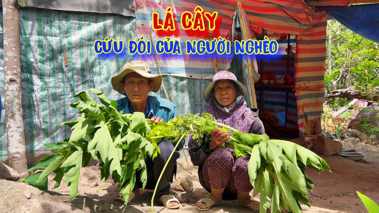 LỤM RÁC đổi cơm gạo, hái LÁ CÂY rừng ăn, để qua CƠN ĐÓI - tập 1076