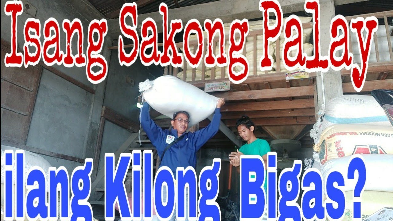 Isang sakong Palay. ilang kilong bigas?  Magpagiling tayo.