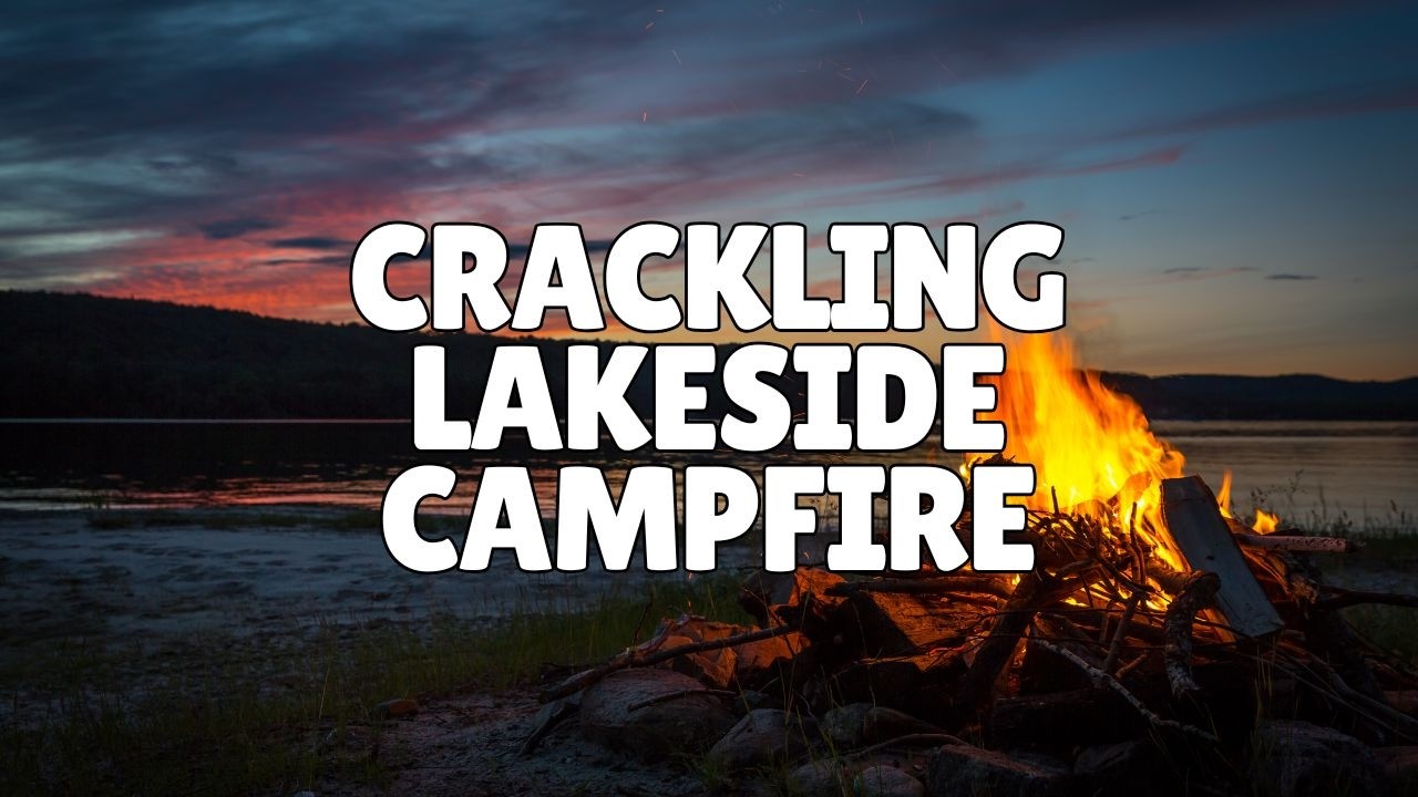 Crackling Lakeside Campfire 🔥 Midnight Crickets & Still Water Sounds for Stress Recovery (8 Hours)
