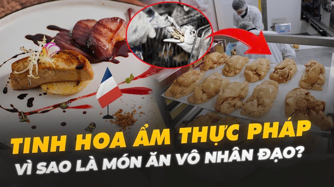 VÌ SAO TINH HOA ẨM THỰC PHÁP LÀ MÓN ĂN VÔ NHÂN ĐẠO ?