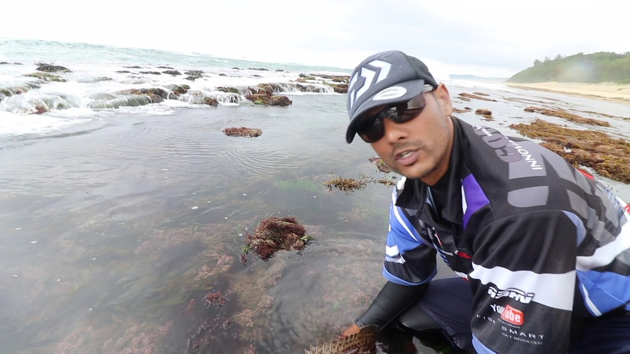 Scratching Nyoggies | Fishing Zululand | ASFN Rock & Surf
