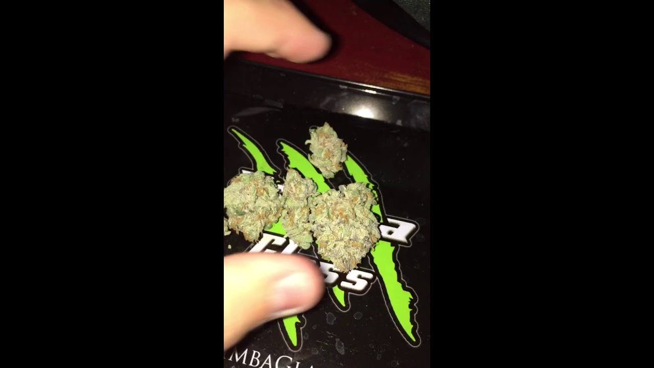 FROSTY BUDS (BLUCIFER) - C2C Meds (Review Coming in a Couple Hours)