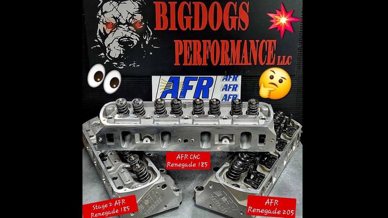 SBF AFR Renegade 185, Stage 2 185 and Renegade 205 Review!!!
