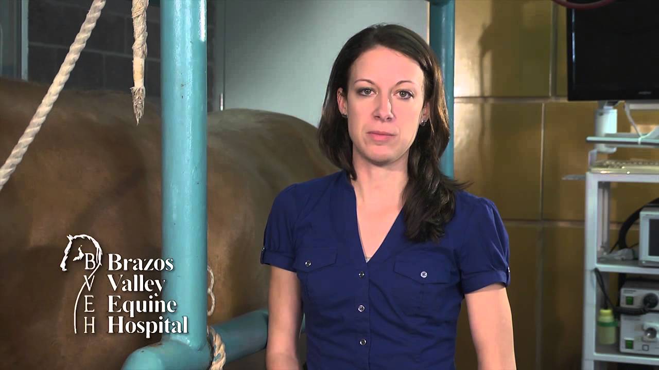 BVEH Equine Vet Tip Pigeon Fever