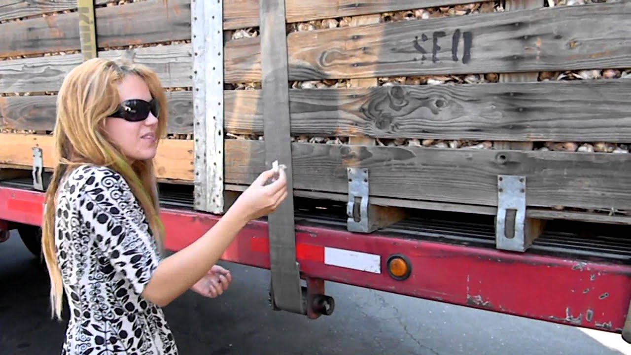 The Agonist: Kamelot Tour Wrap-Up Webisode