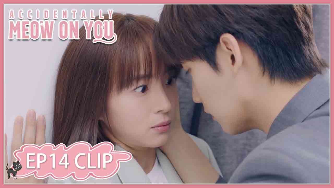 EP14 Clip | So close! He dares to kiss Zhou Tian! | Accidentally Meow On You | 一不小心喵上你 | ENG SUB