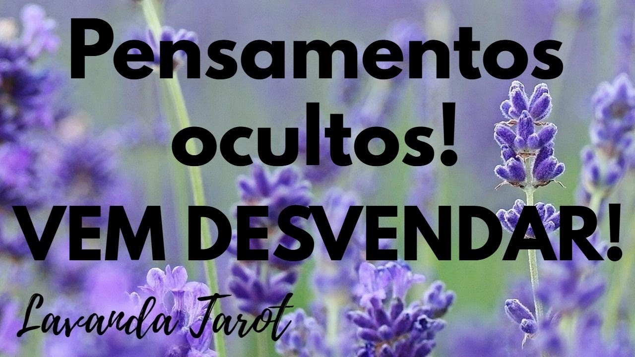 #tarot 💜🪻Pensamentos ocultos! VEM DESVENDAR!💜🪻