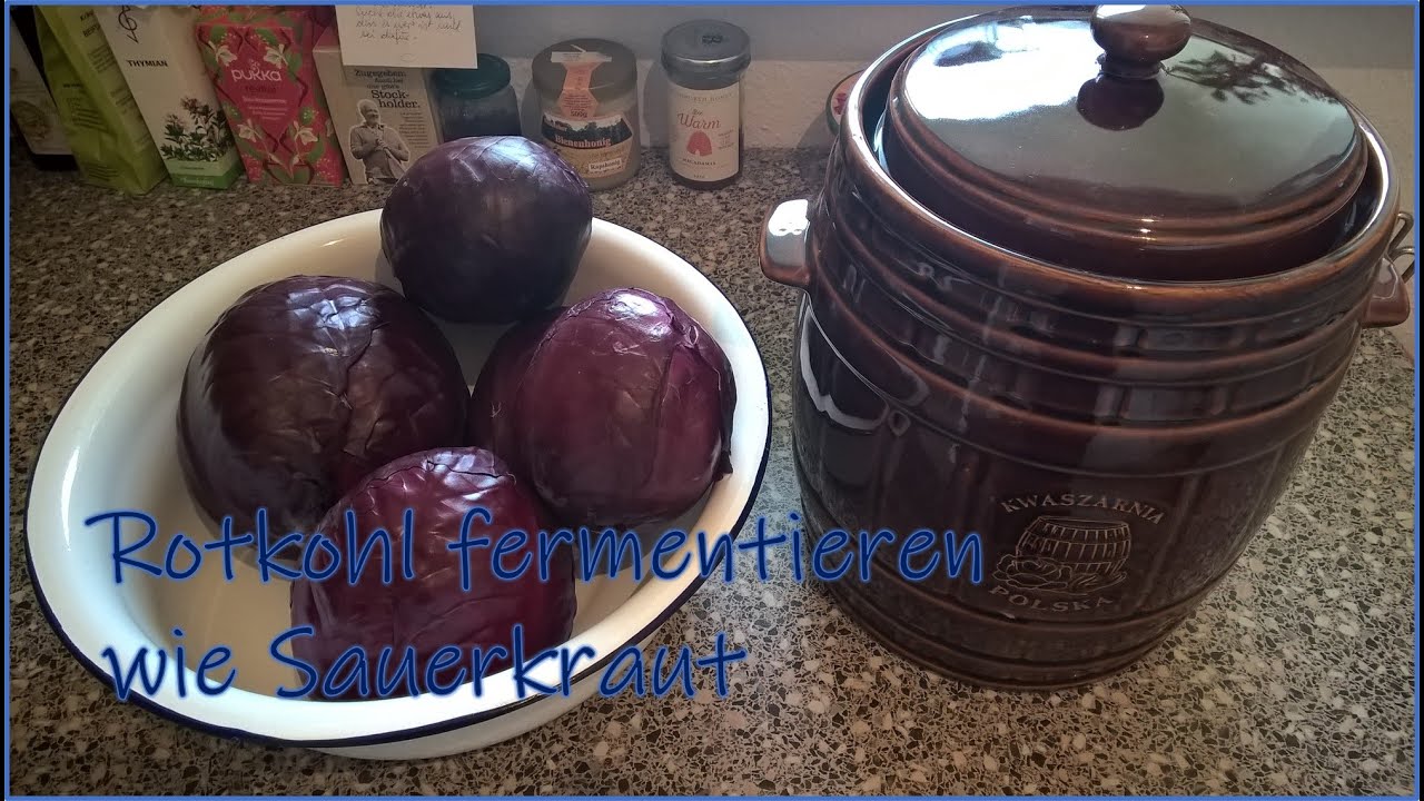 Rotkohl fermentieren | wie Sauerkraut