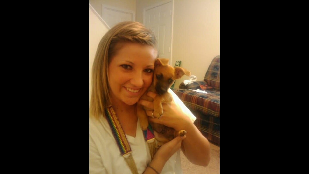 Bud The Dog