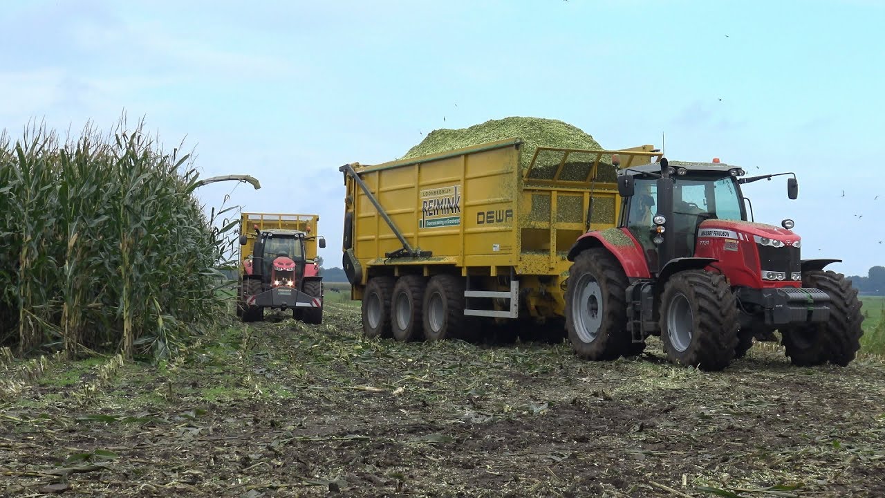 Loonbedrijf Reimink in de mais met Claas Jaguar en 2 Massey Ferguson met DEWA's (2017)