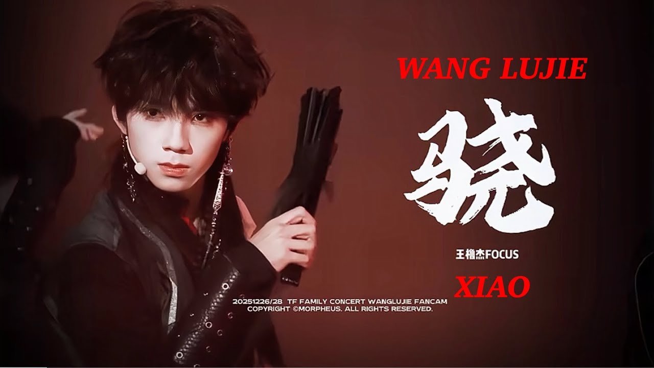 WANG LUJIE - “XIAO” [骁] FANCAM 4K | NEW YEAR CONCERT | SANYA