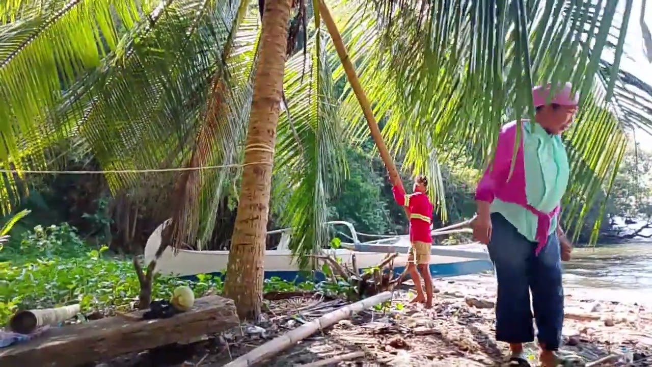 Buko 