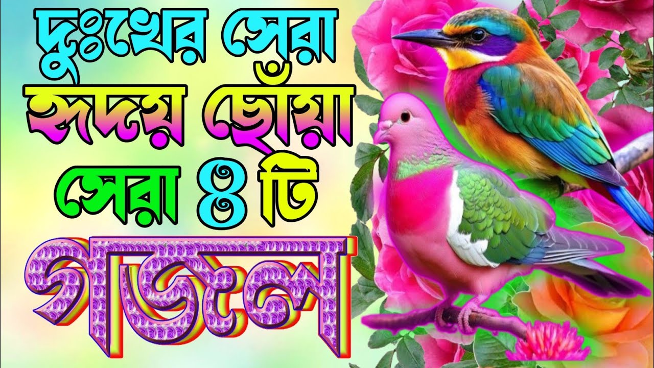 New best islamic gazal |কবরের খুবই দুঃখের সেরা ৪টি নতুন গজল |হৃদয় ফেটে যাওয়া গজল |Asadul Gojol2026