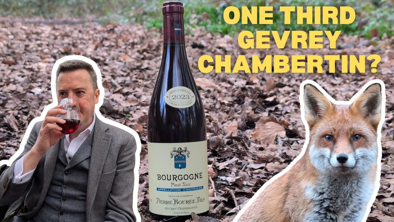 Pierre Bourée Fils Bourgogne 2023