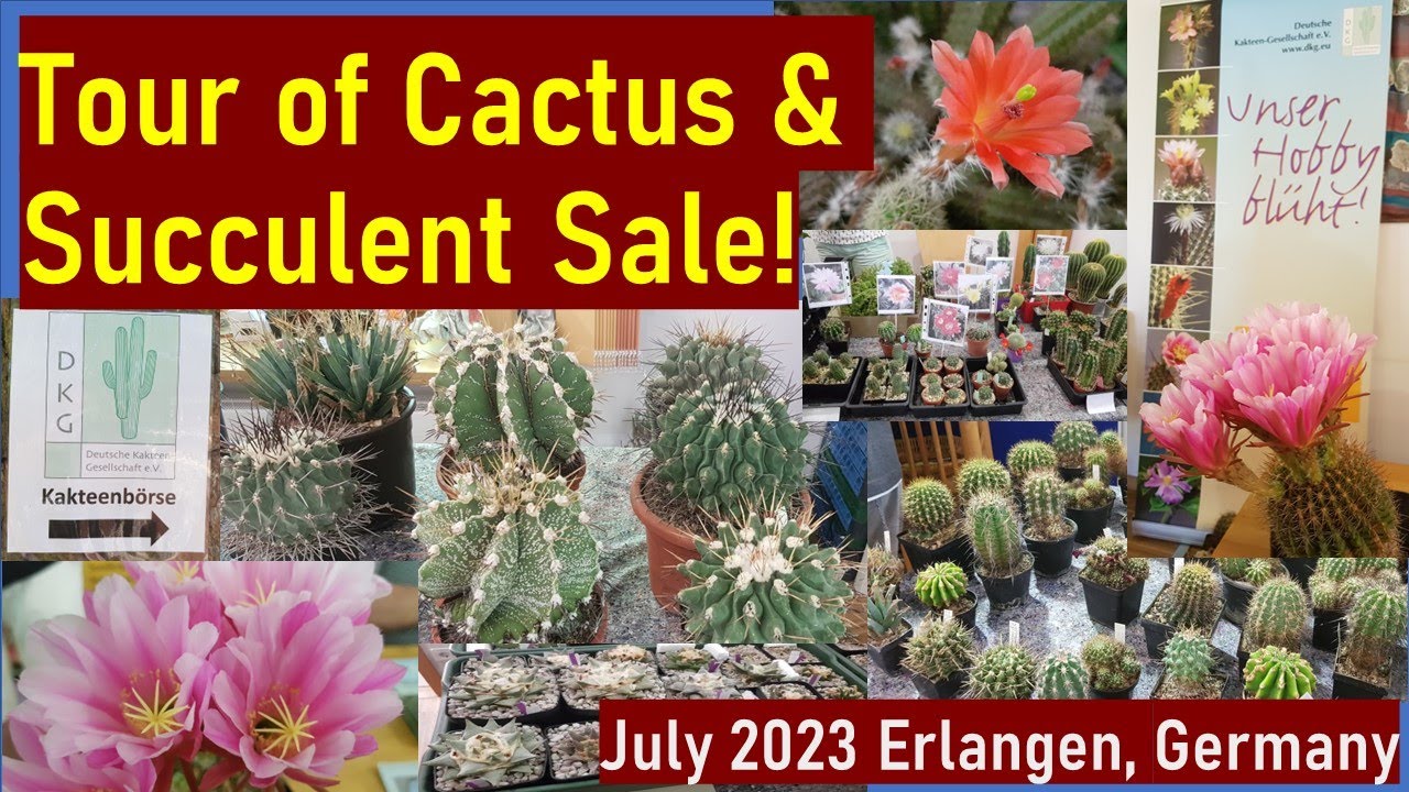 Tour of Cactus & Succulent Plant Sale July '23 Erlangen 