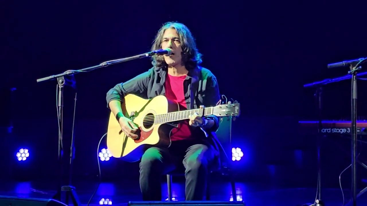 אביב גדג' - שרף אורנים