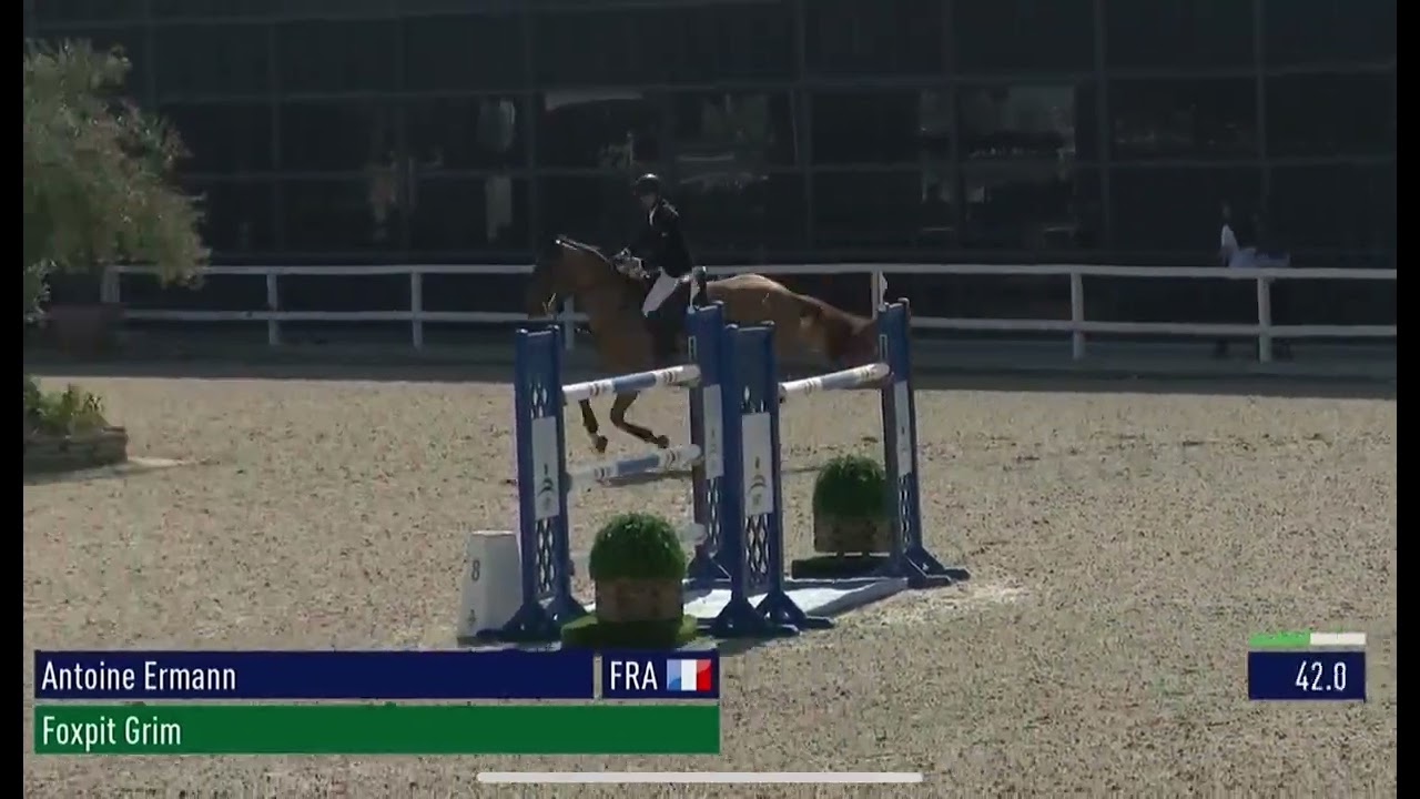 Foxpit Grim - MET Oliva - Gold Tour 1.45m