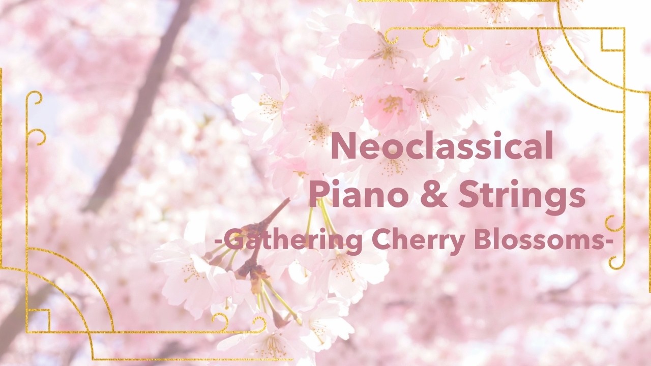 Neoclassical | piano and strings | -Gathering Cherry Blossoms -@mizplus